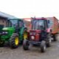 Martijnpolschalkhaar